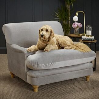 Plimpton Velvet Lounge Chair With Wooden Legs