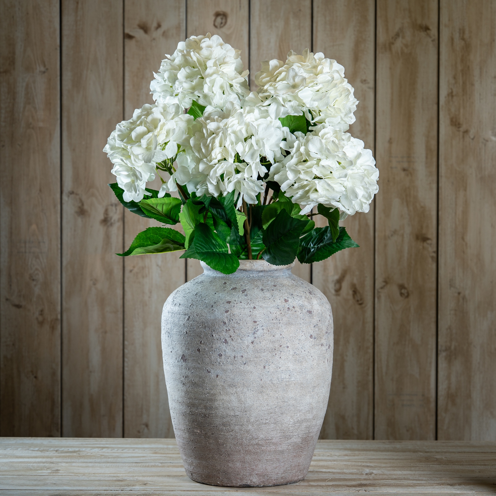 Single White Hydrangea - Image 2