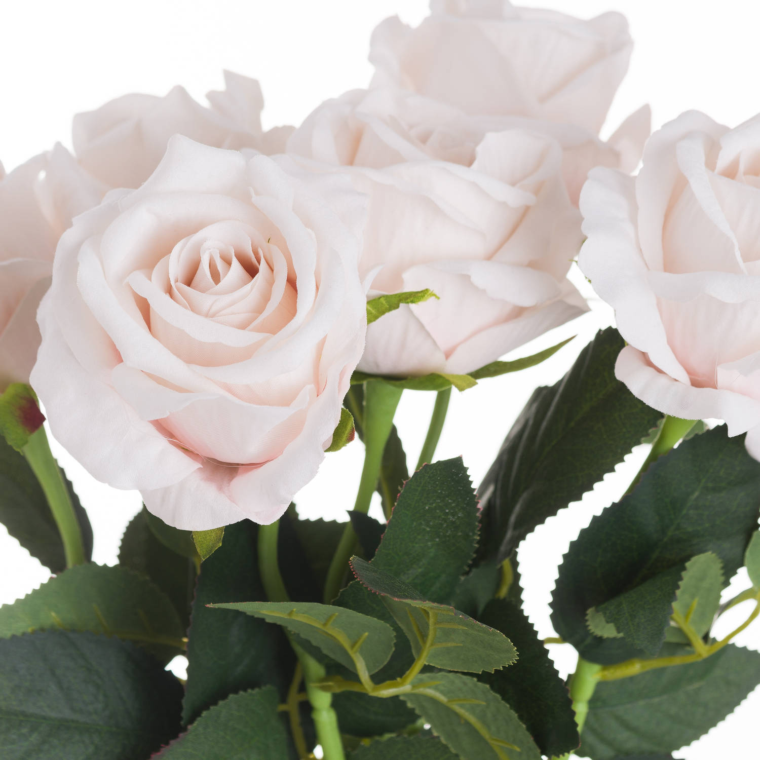 Pastel Pink Tea Rose - Image 2