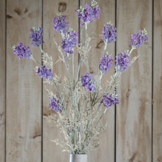 Purple Meadow Flower