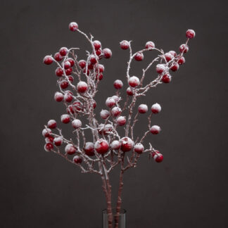 Large Red Festive Berry