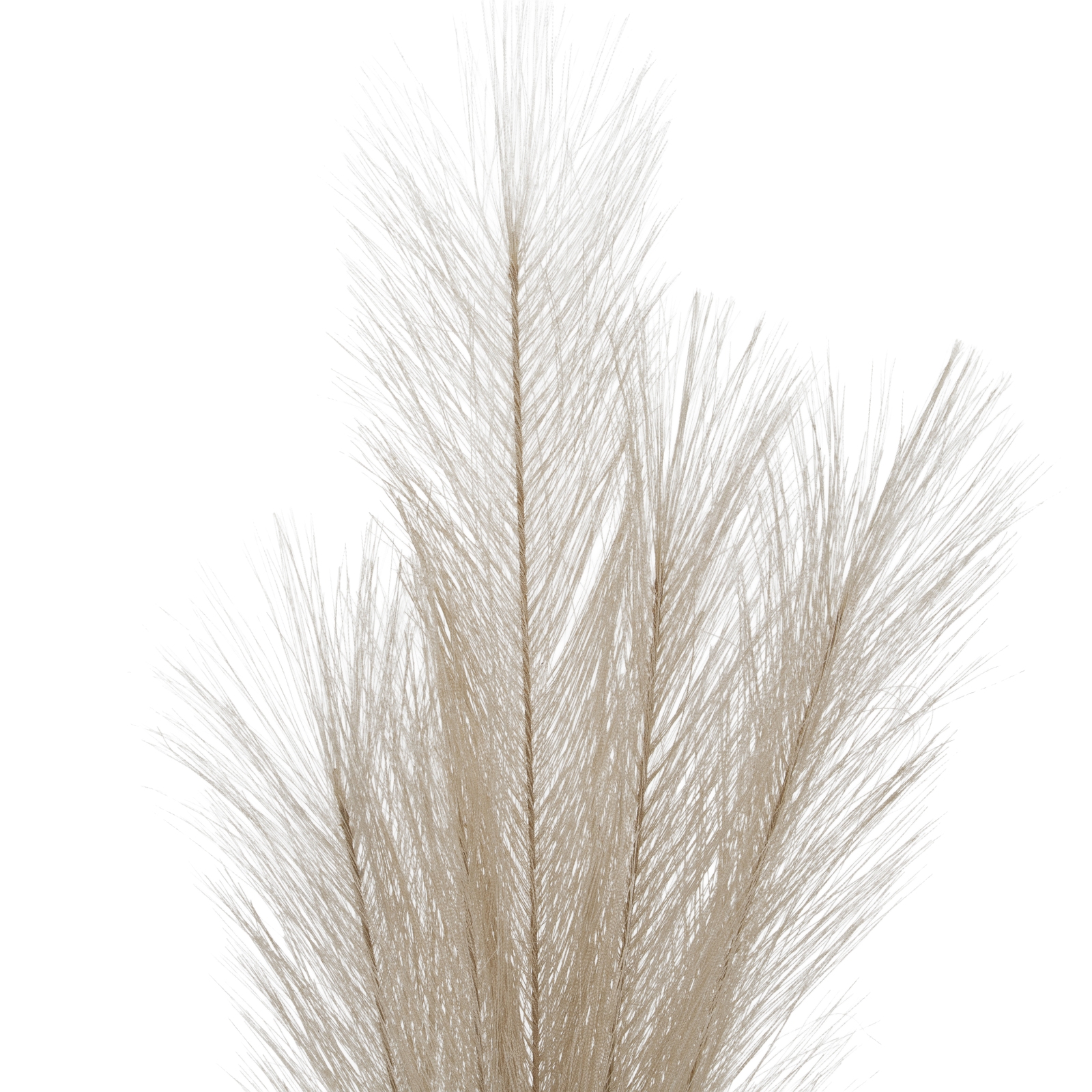 Bleached Large Faux Pampas Grass Stem - Image 3