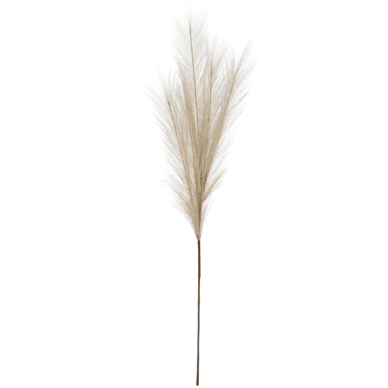 Bleached Large Faux Pampas Grass Stem
