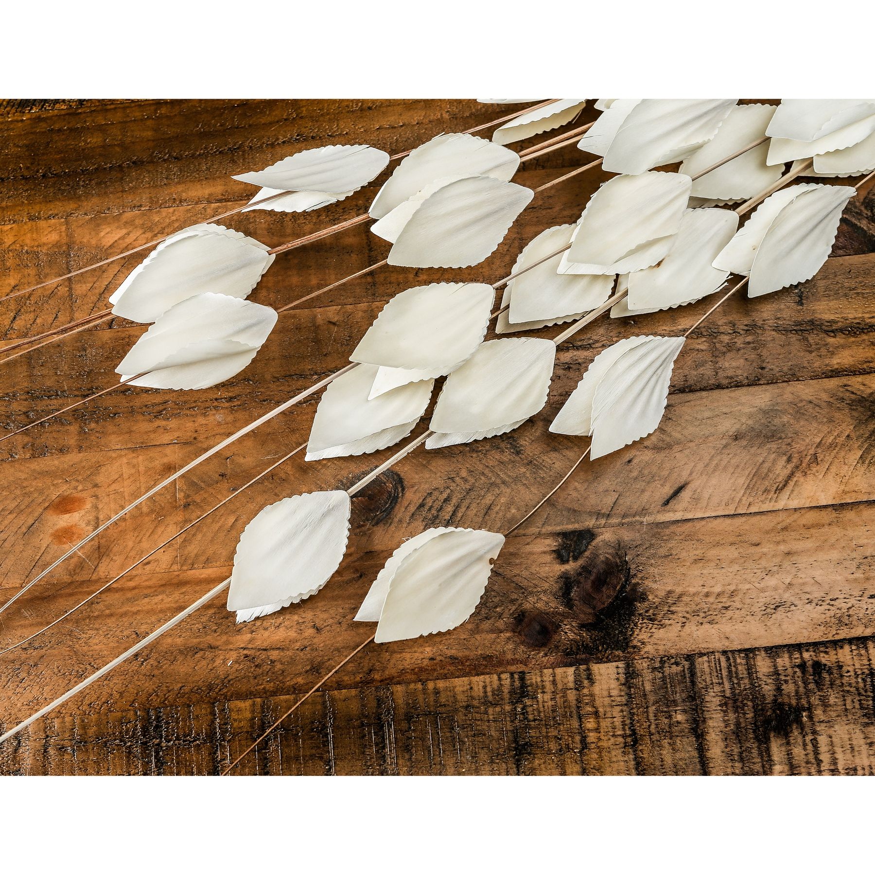 Bouquet Of Dried Thlaspi Arvense - Image 3