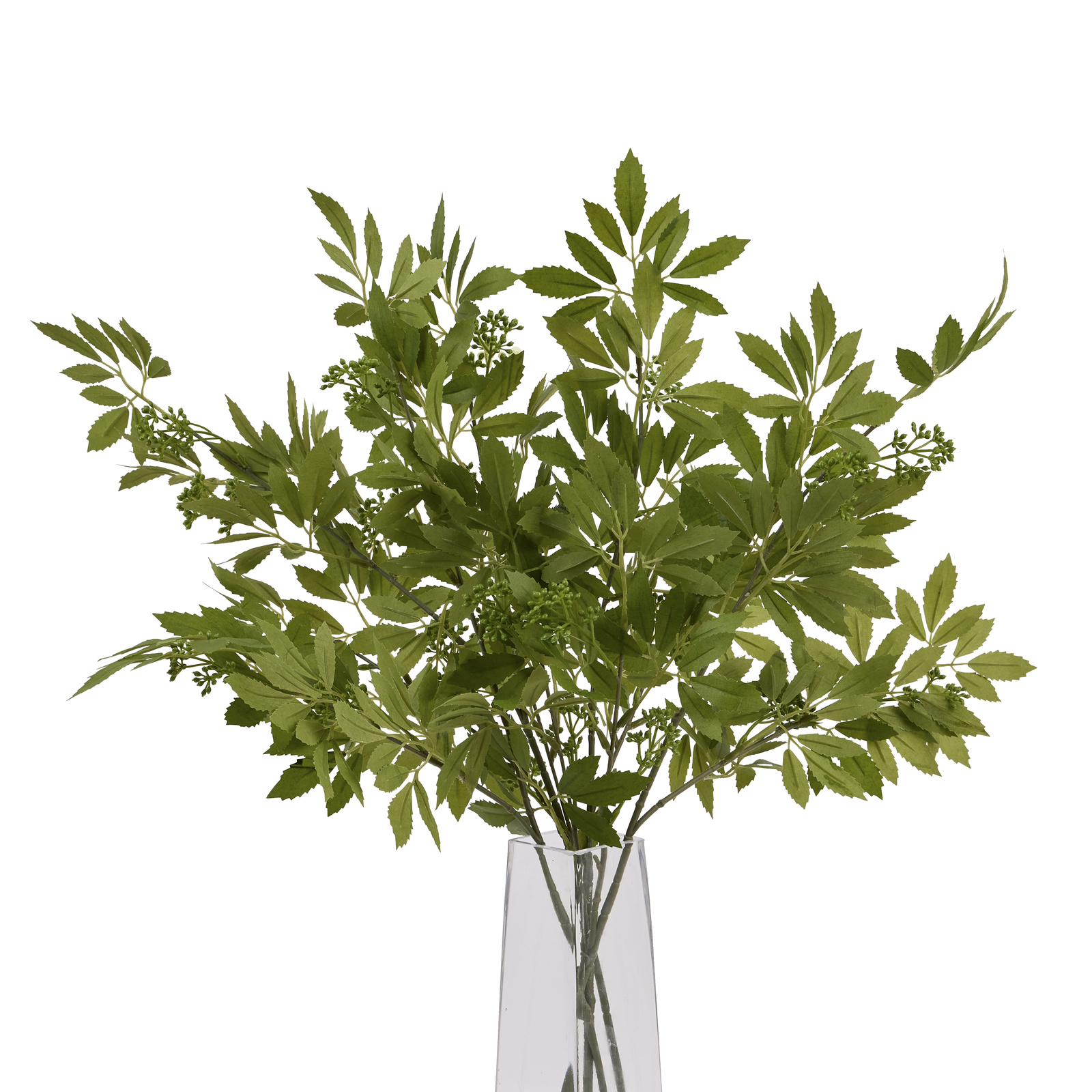 Long Fennel Stem - Image 3
