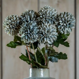 Pale Green Blue Short Chrysanthemum