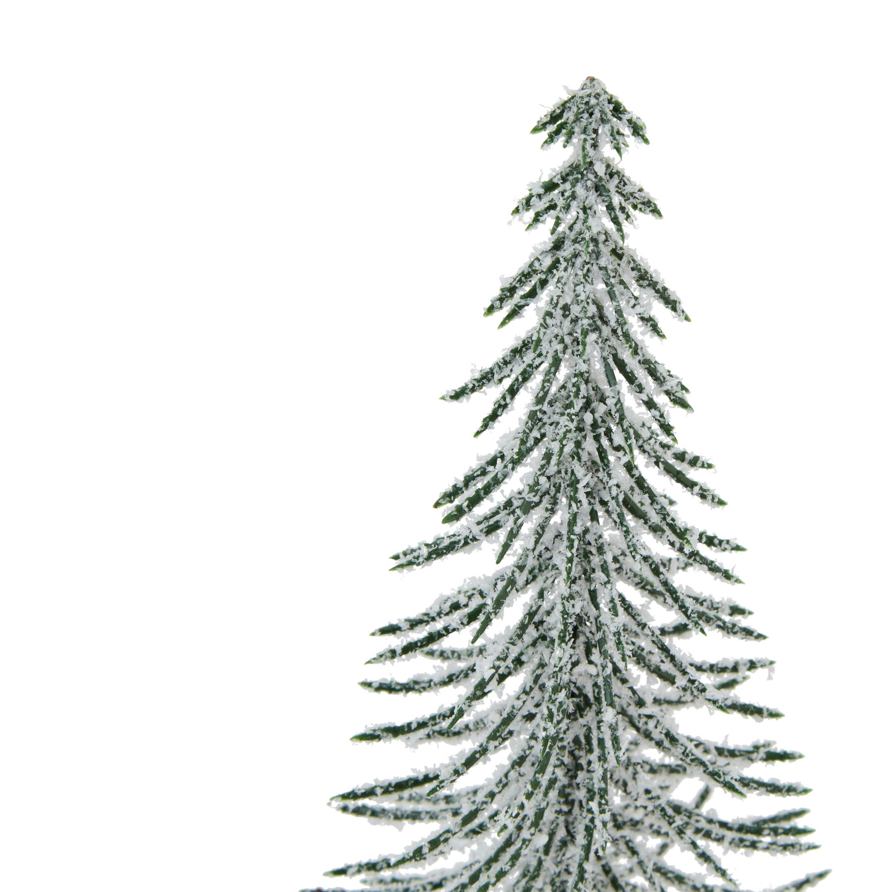 23578 a.jpg