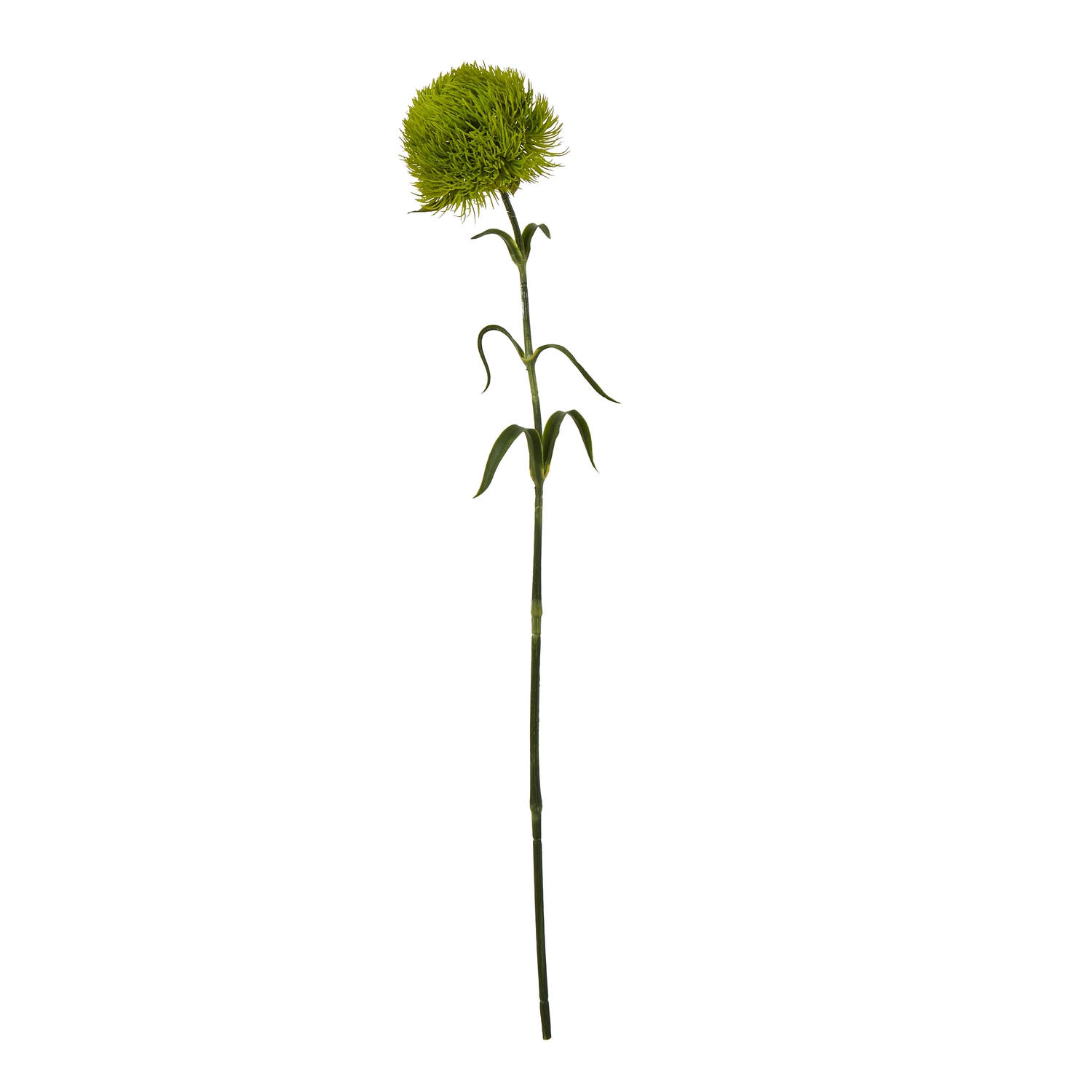 23840.jpg