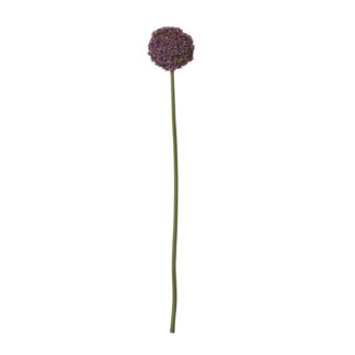 23849.jpg