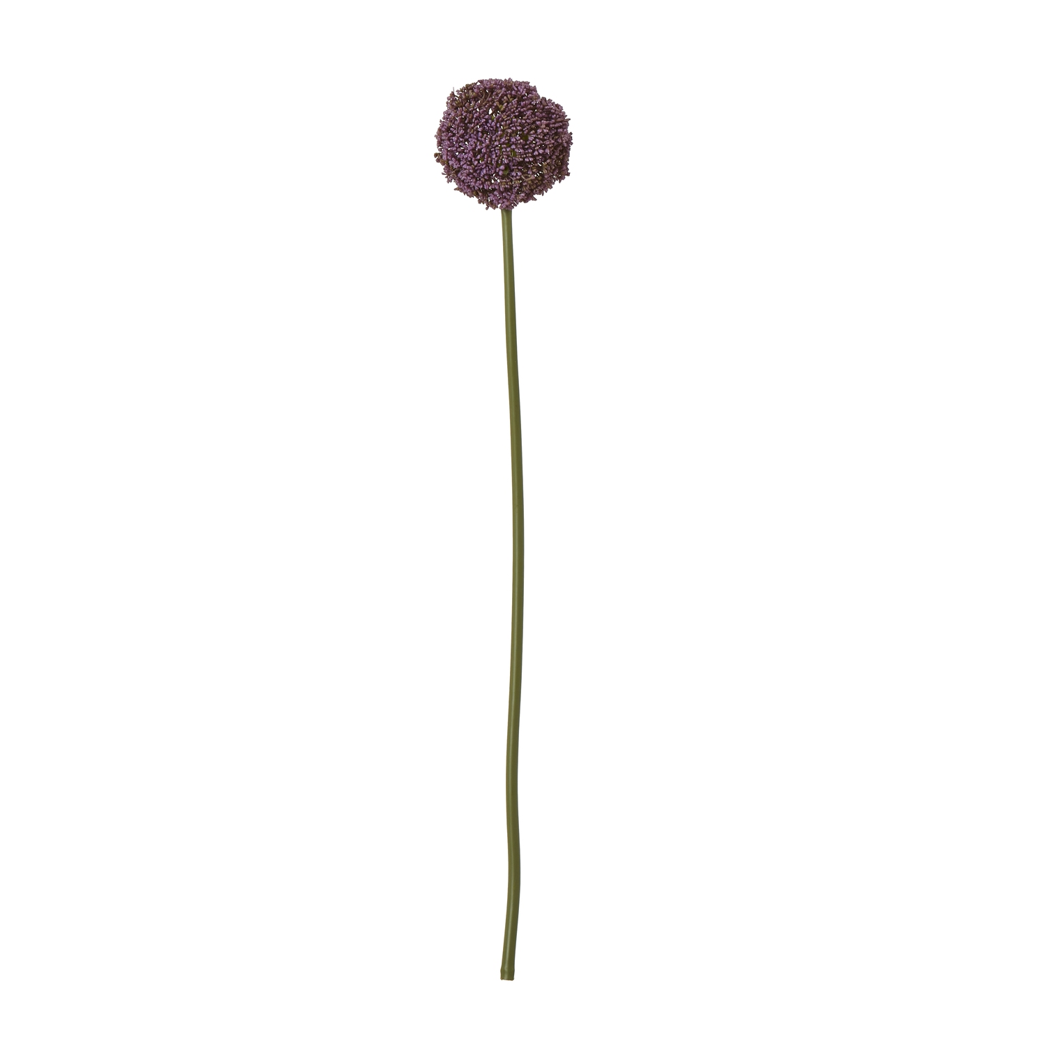 23849.jpg