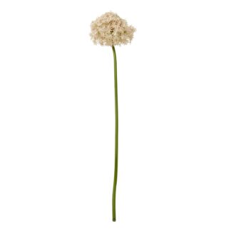 23856.jpg