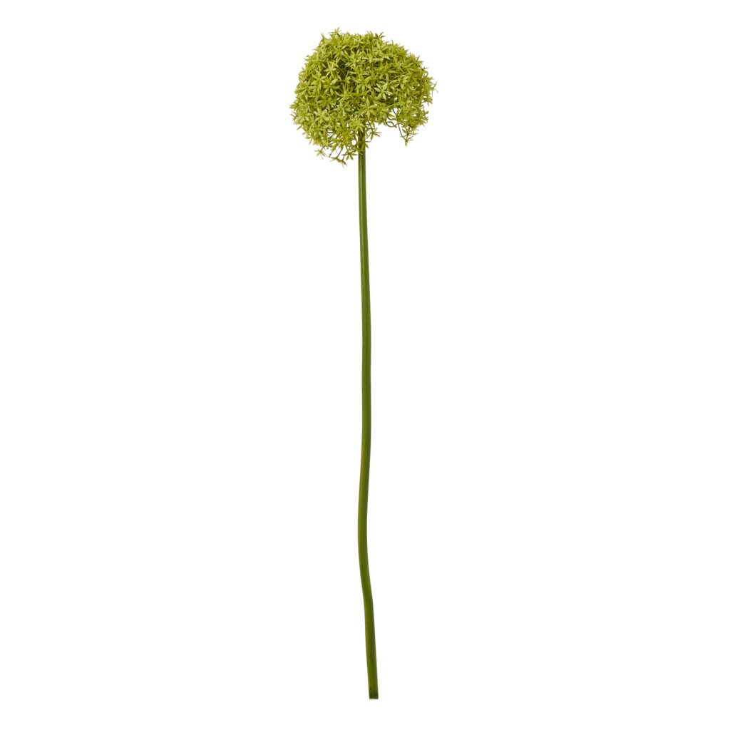 23857.jpg