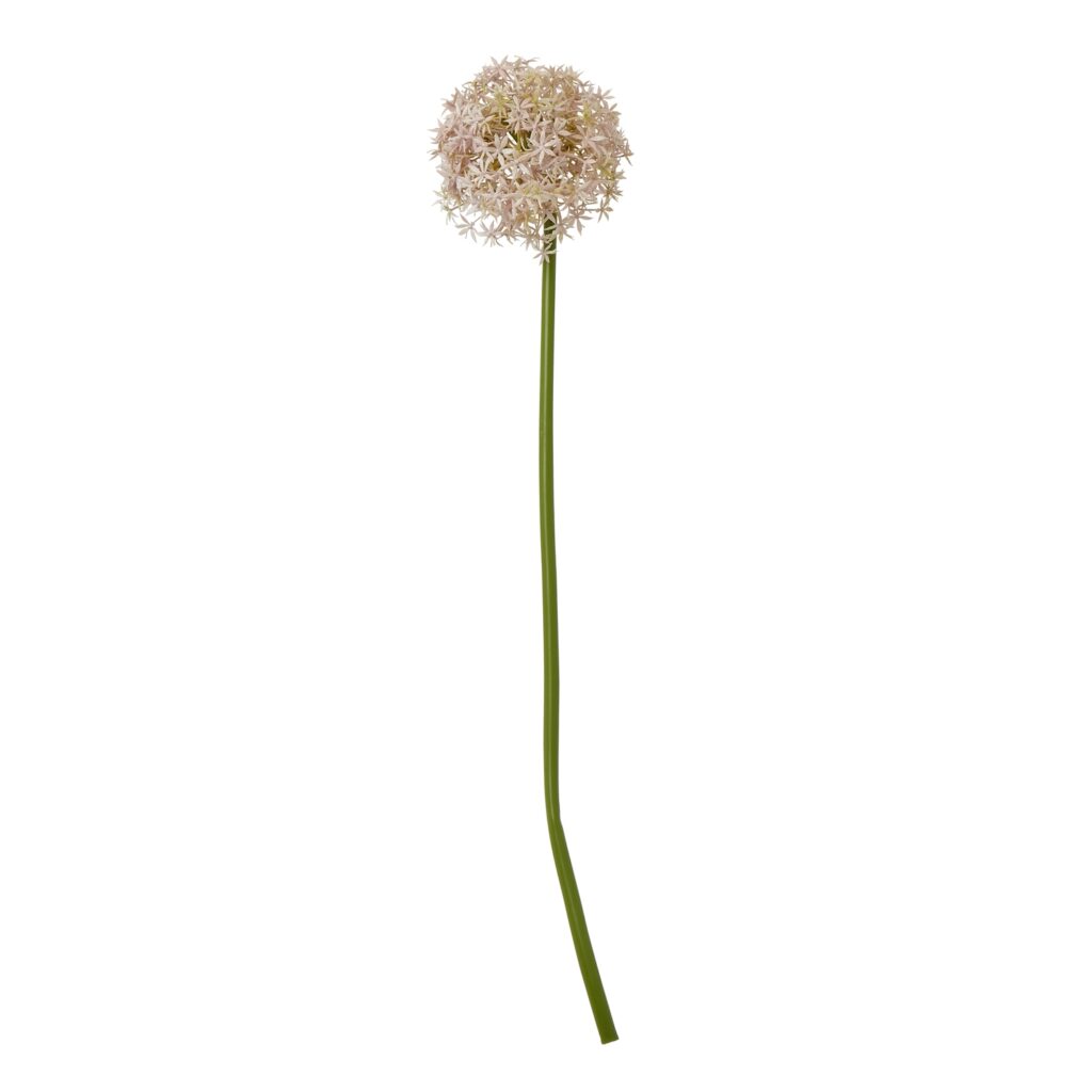 23858.jpg