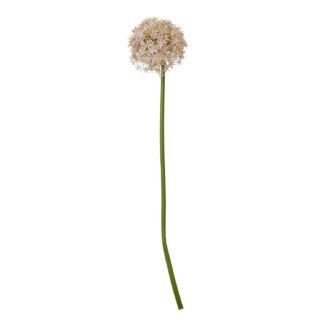 23858.jpg
