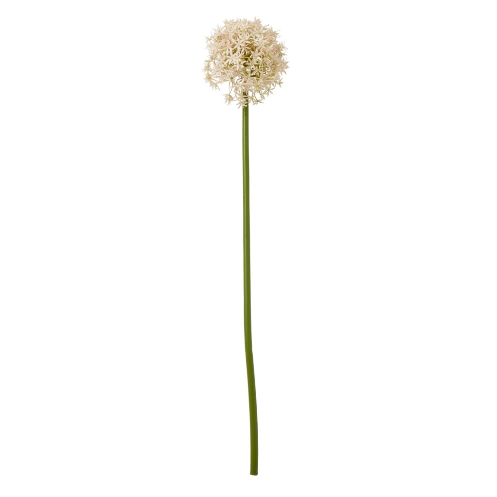 23859.jpg