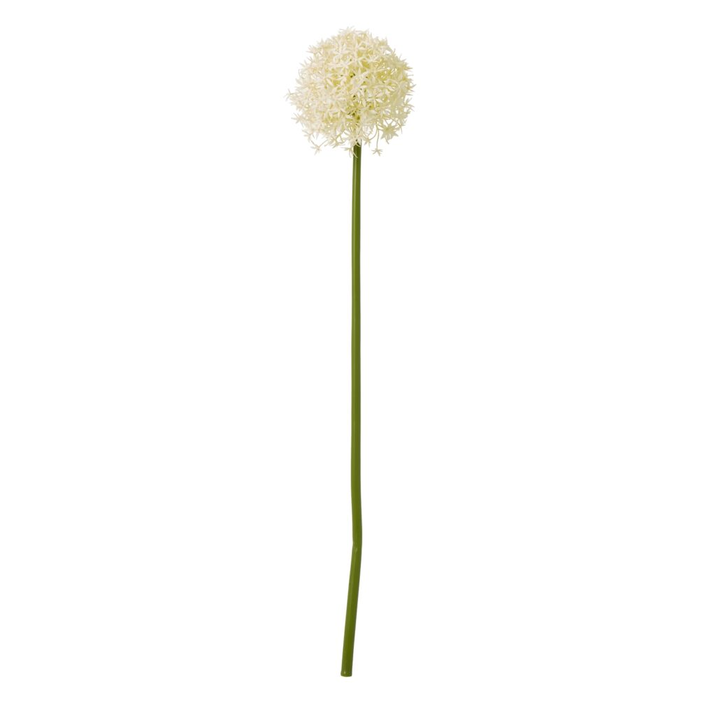 23861.jpg