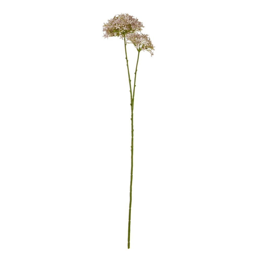 23863.jpg