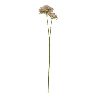 23863.jpg
