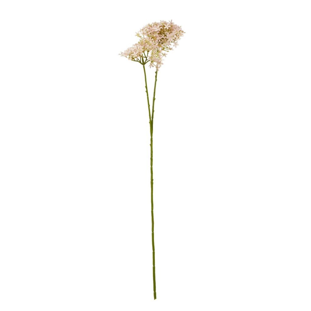 23864.jpg