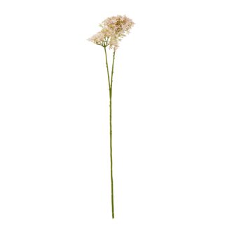 23864.jpg