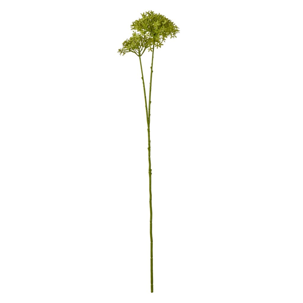 23865.jpg