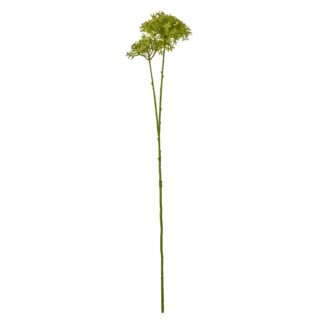 23865.jpg