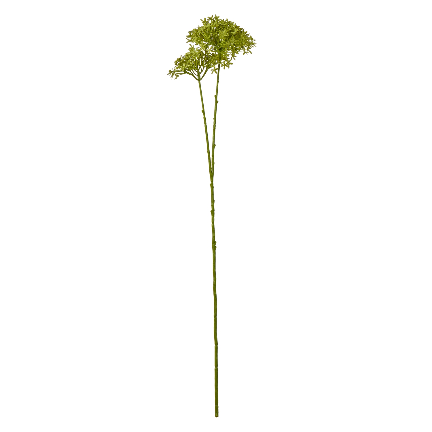 23865.jpg
