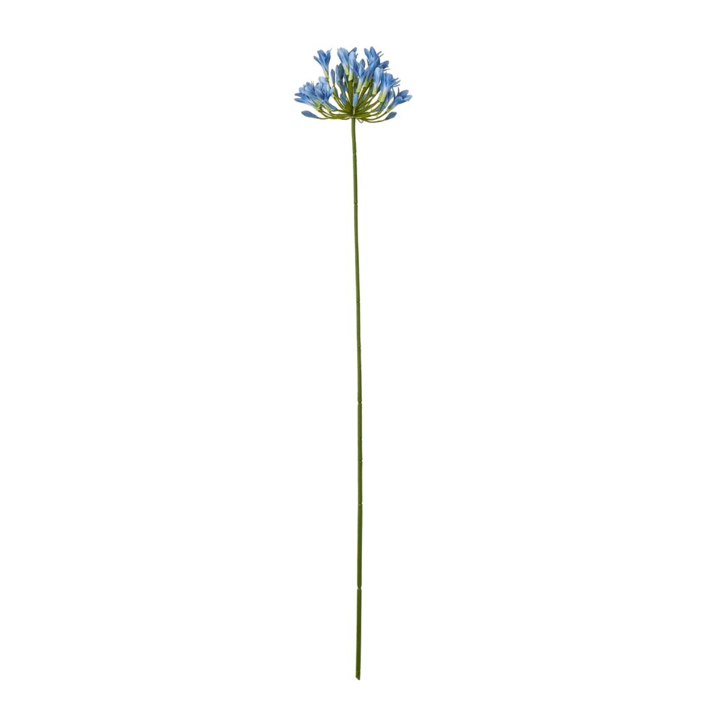 23867.jpg