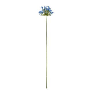 23867.jpg