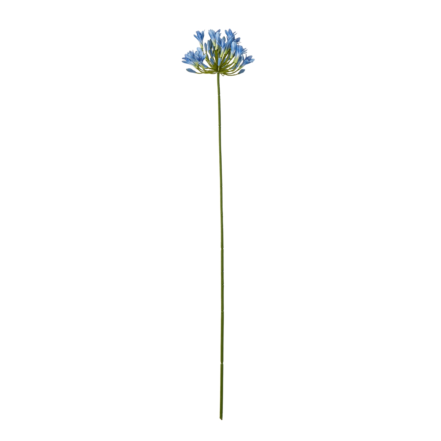 23867.jpg