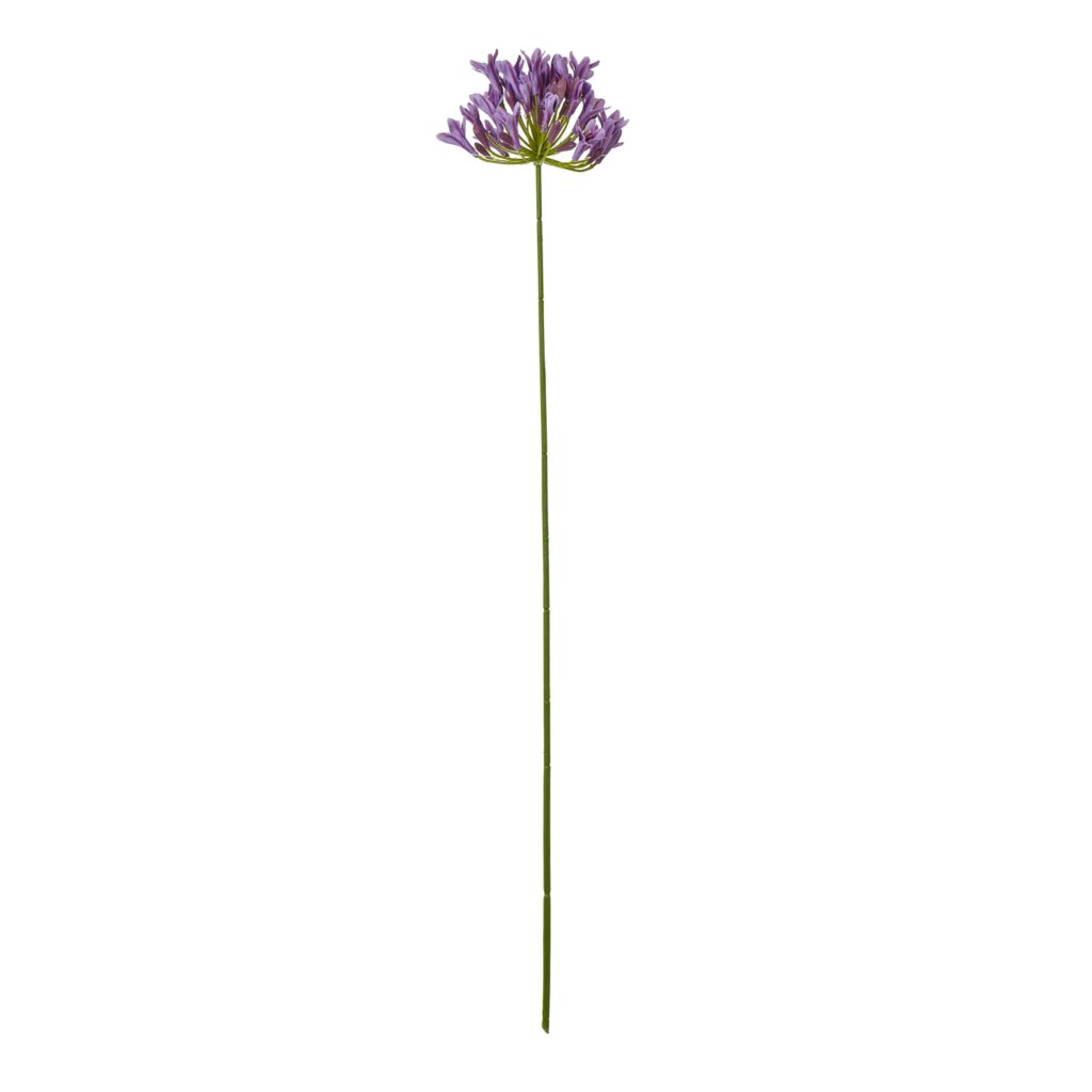 23869.jpg